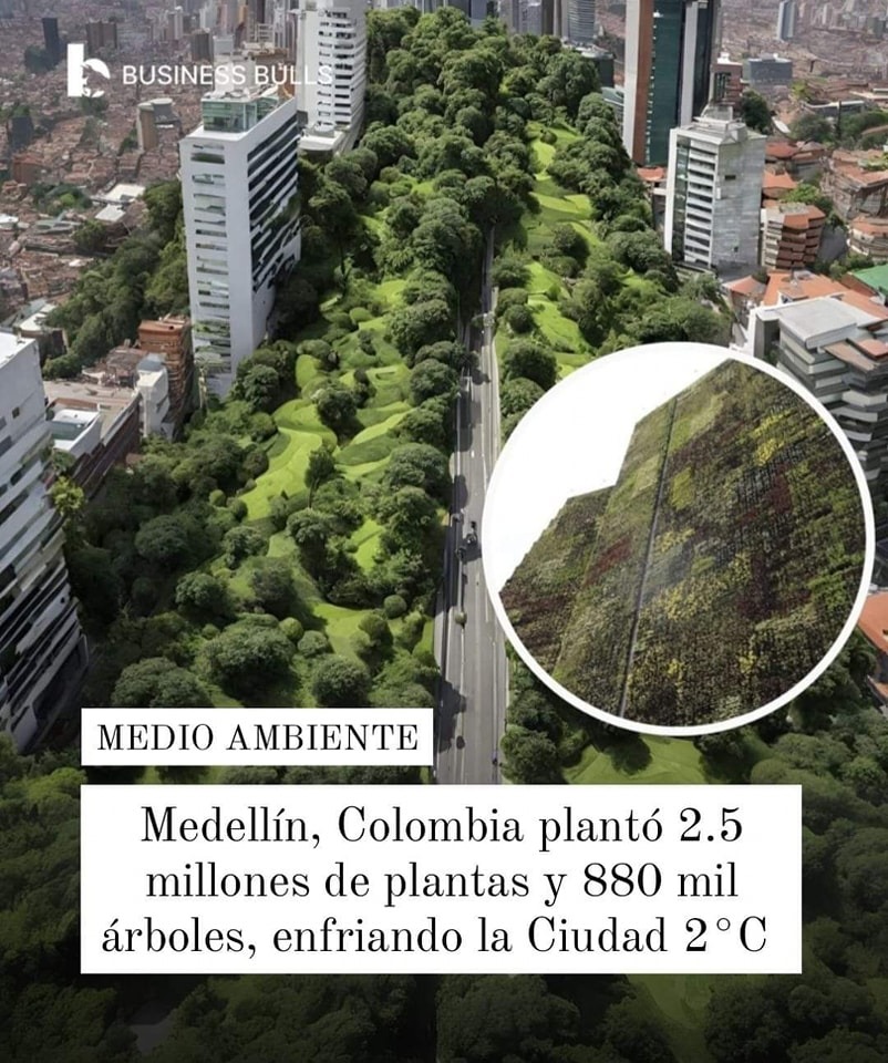 Pronto vamos a entender que las Ciudades deben promover la INFRAESTRUCTURA VERDE URBANA como camino principal para la SOSTENIBILIDAD y la RESILIENCIA 🌳🌳🌳 #InfraestructuraVerde #CiudadVerde