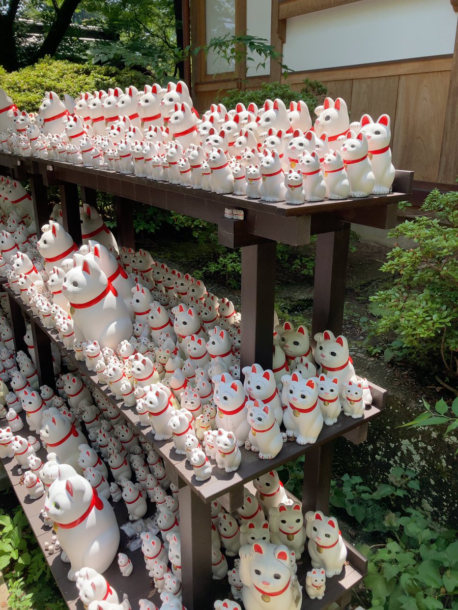 keiobussei's tweet photo. 昨日は世田谷にある豪徳寺と松陰神社に行ってまいりました。豪徳寺は招き猫発祥の地というだけのことがあり、たくさんの招き猫が並んでいました。また、松陰神社には松下村塾のレプリカがあり、まるで吉田松陰が目の前にいるかのように錯覚しました�� https://t.co/wsqgacVPxW