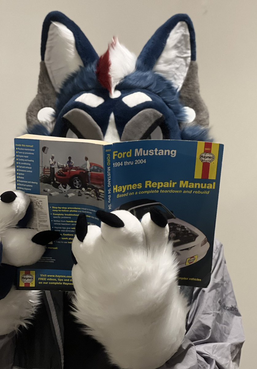 I only indulge in the finest of literature