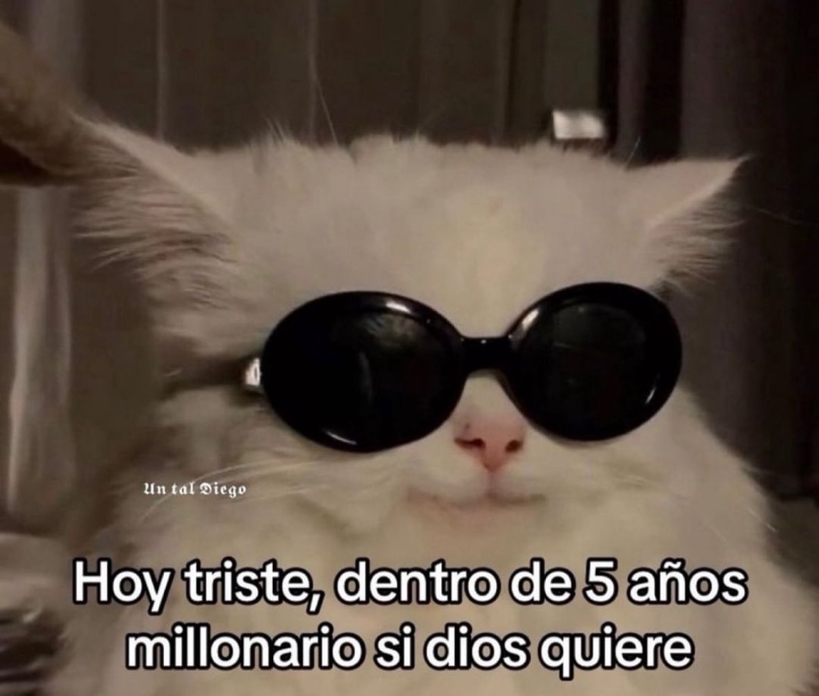 ConejaMCPE's tweet photo. Pero hoy se llora, no quiero dejar gdl https://t.co/0vo1k21AYN