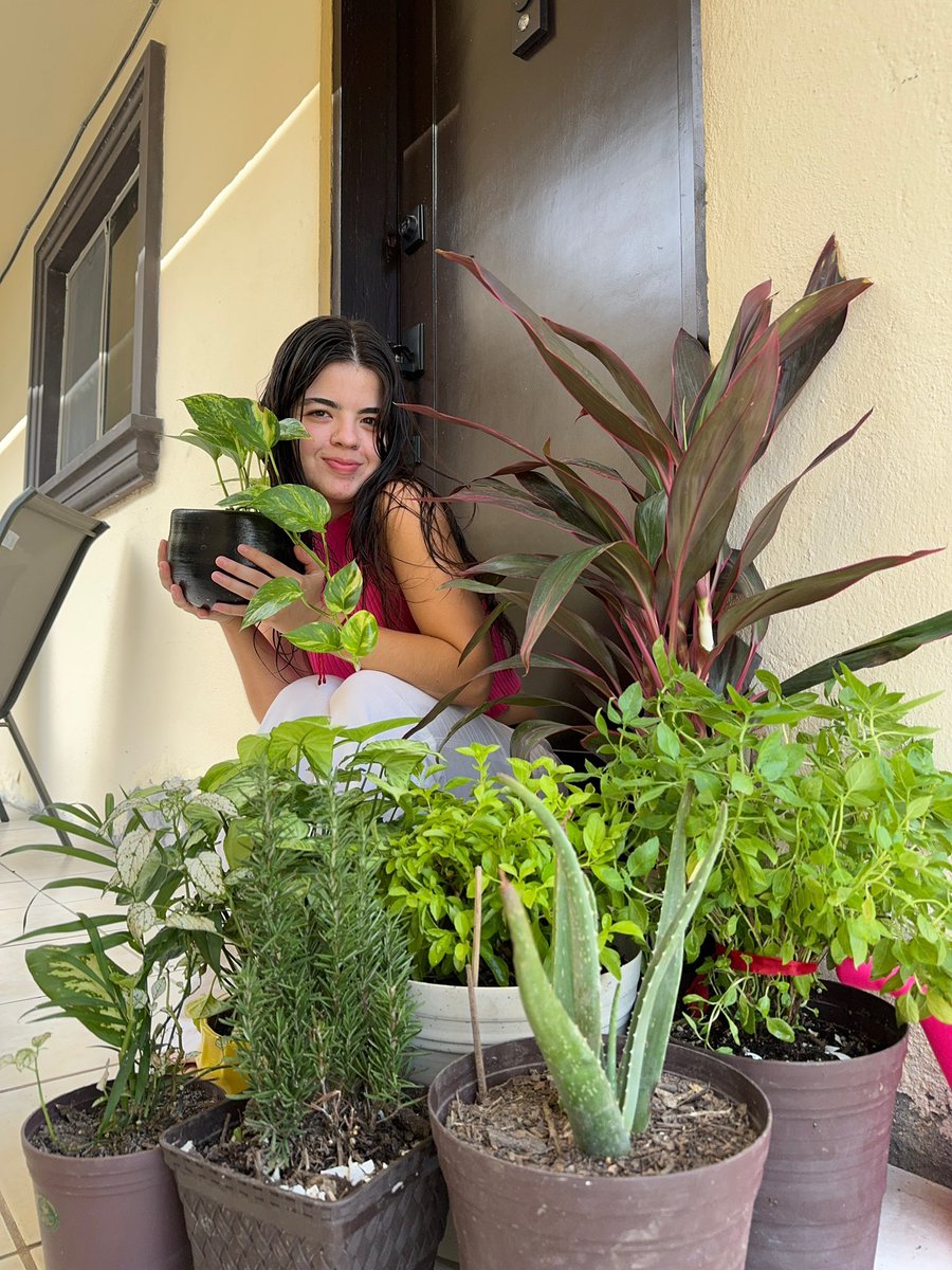 aaylinortegas's tweet photo. No se en que momento me convertí en la señora de las plantas 🪴pero me encanta 🩷✨ https://t.co/sHAX7On6G1