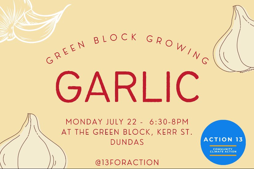 Action 13 tweet media