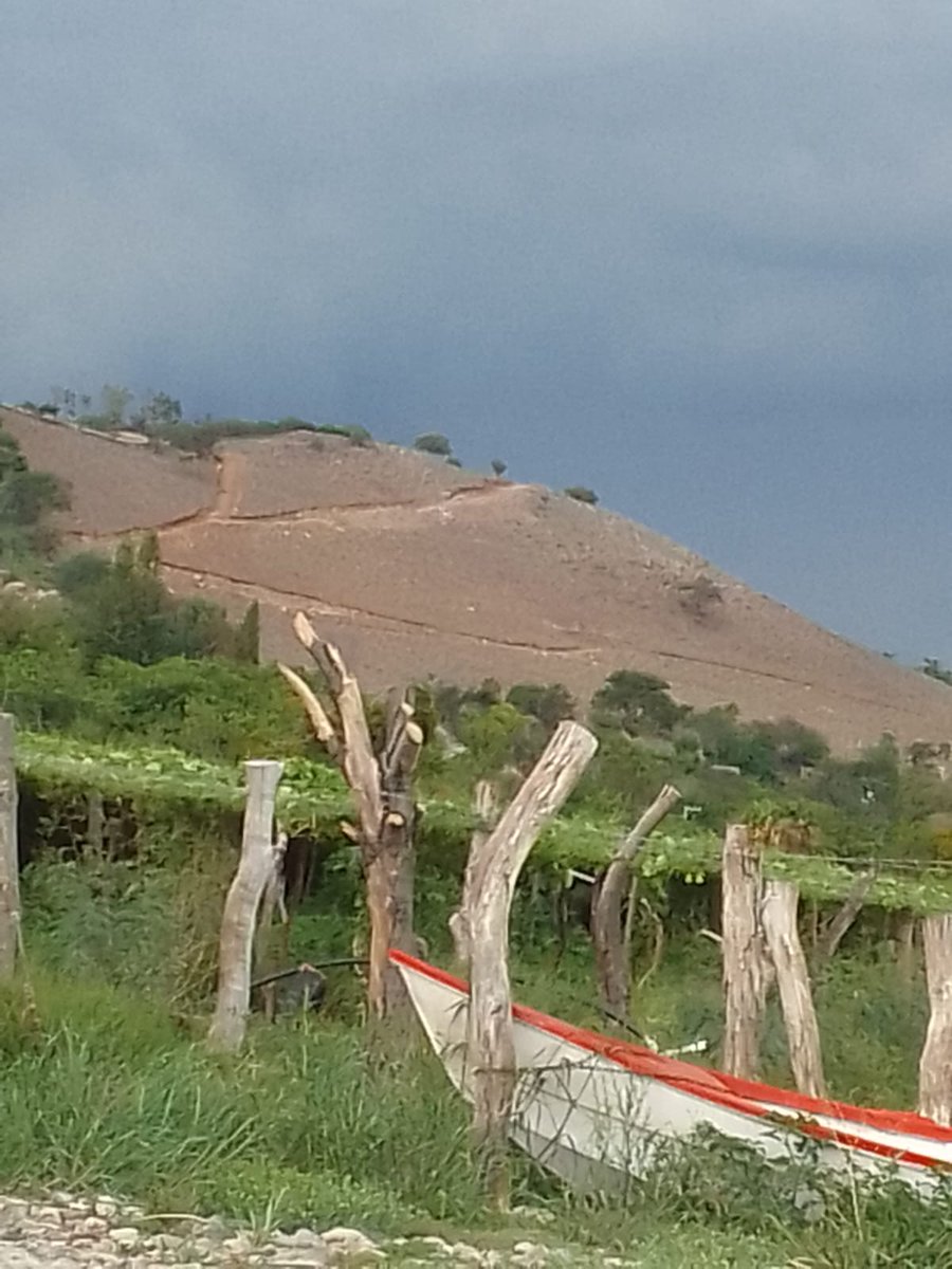 VEROLOMEL's tweet photo. #PoncitlánMuere Perra impotencia!
#NoEsSequíaEsSaqueo
Xq hace calor? 🙄🤤🥵
Vista desde #Mirador d #LasTortugas
#GobiernoPoncitlán @MovCiudadanoJal hace garras con ilegales cambios d uso d suelo
Catástrofe ambiental, social y humana.
#EcoMafia #HidroMafia #MafiaInmobiliaria https://t.co/gnGWTxPRM6