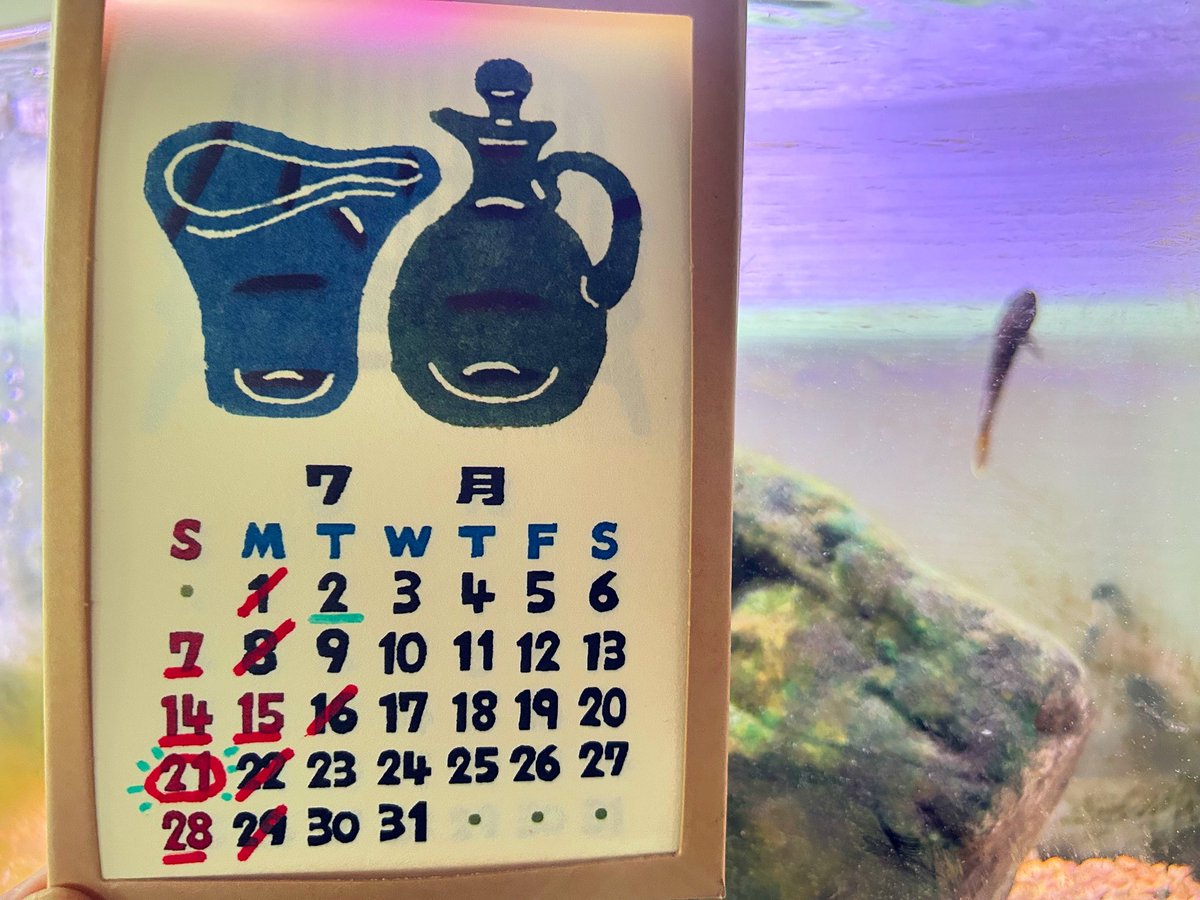 akocafe2020's tweet photo. 7月の営業日です＊

21日日曜日は店舗前でイベントのため、通常営業はお休みです！

#AKOcafe&amp;bar
#あこ行こ https://t.co/dIEplwrV3D