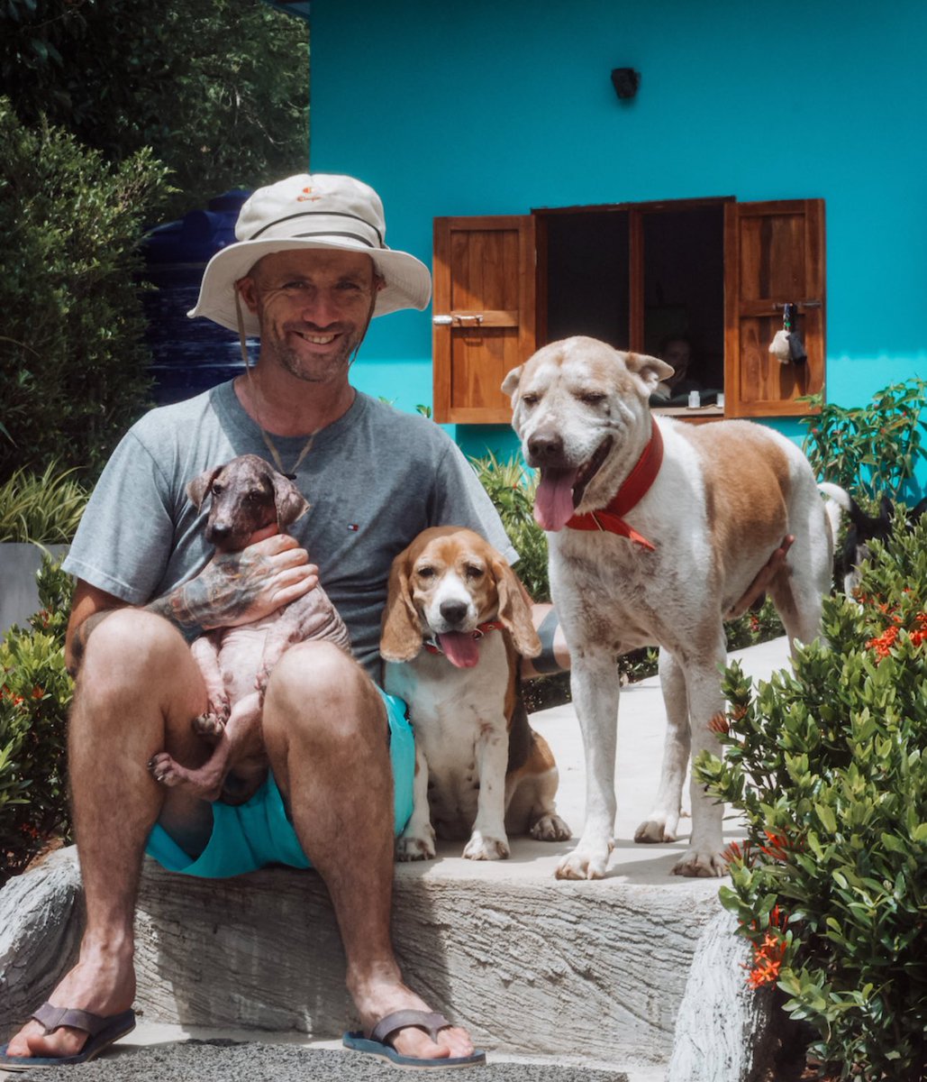 Niall Harbison tweet media