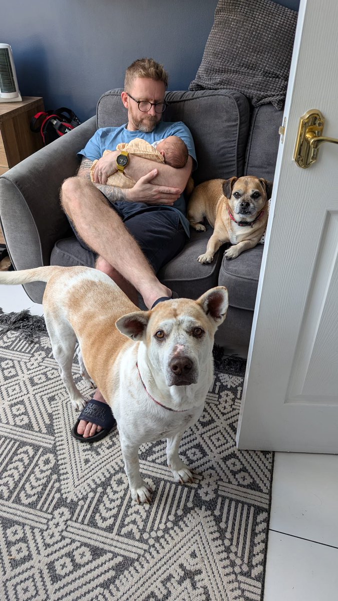 Niall Harbison tweet media