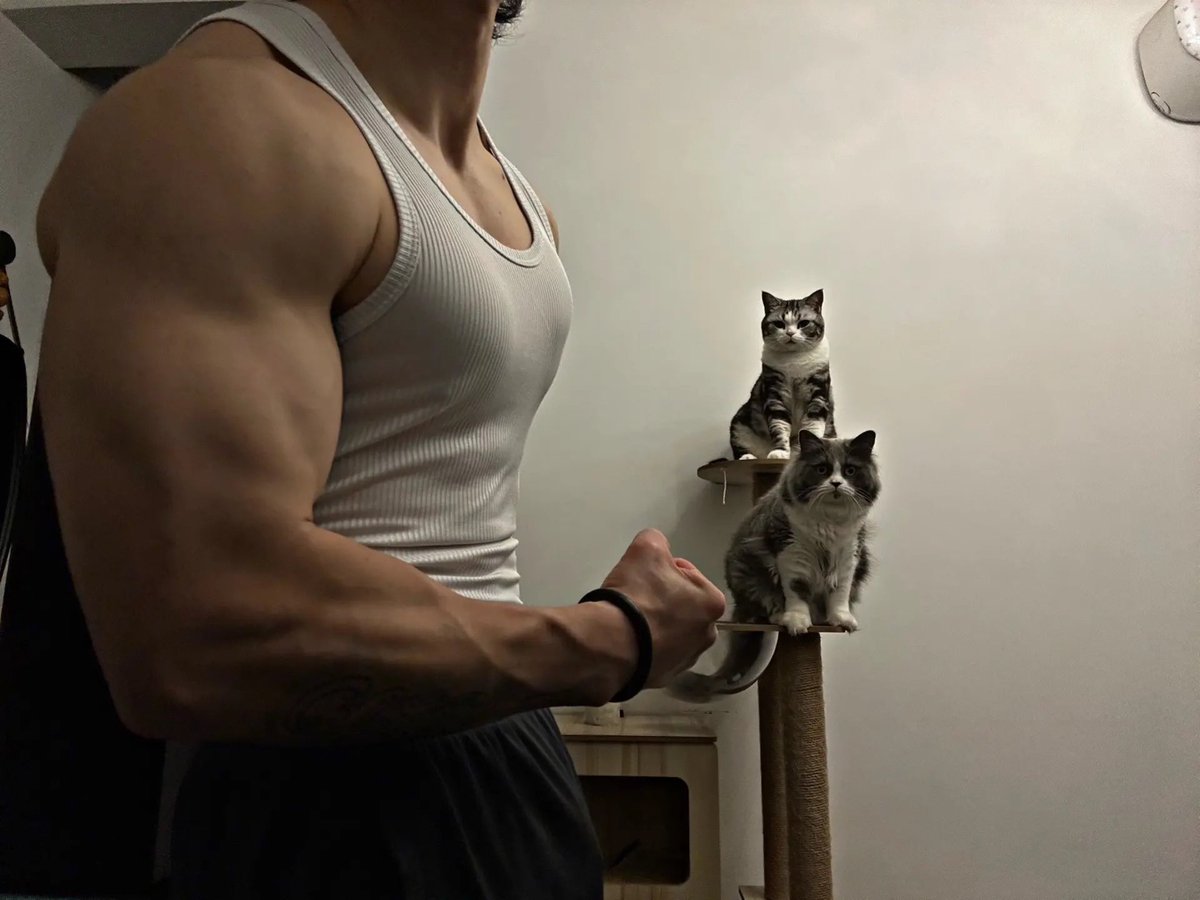 aeuiokztxr8's tweet image. #cutecat #musclemen #menpower #fatcat #americanshorthaircat #menandcats #lovelycat #armmuscle #boyfriendpower #musclemax #catathome #muscletime #packman