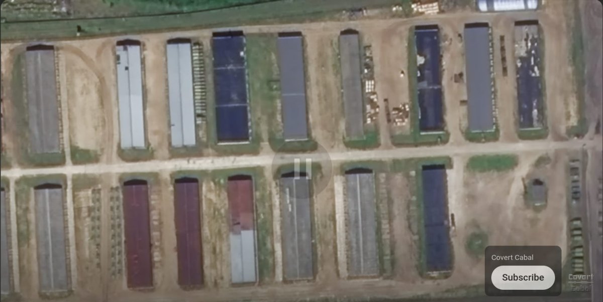 DACHI-shows you *End of Russkiy mir tweet media