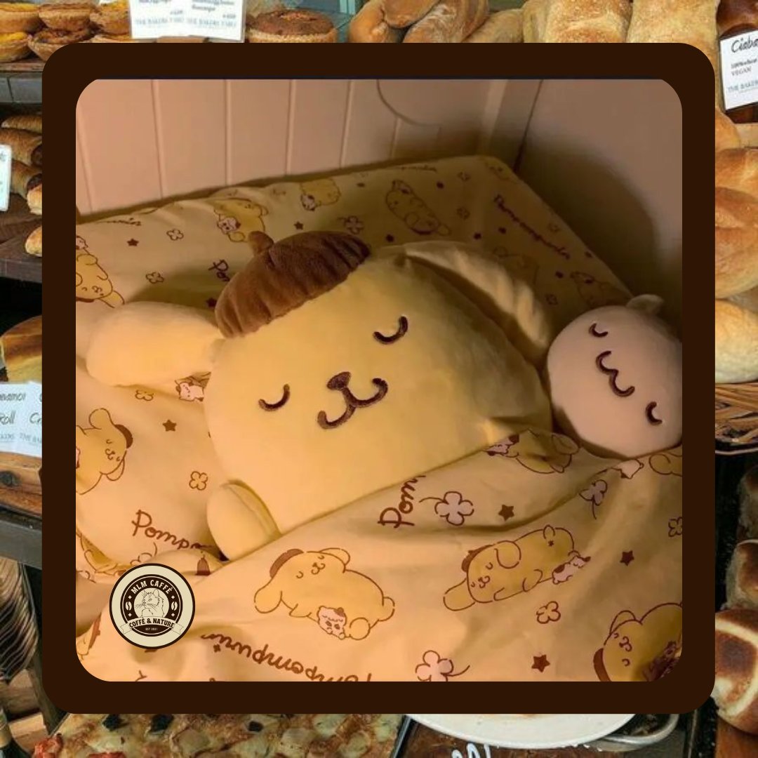 ✦ NEW ORDER ✦

TO : <a href="/noagifs/">arc</a>
FROM : j

MESSAGE : hi, nahihiya akong sabihin ito pero ano

🎵 : i like u - NIKI