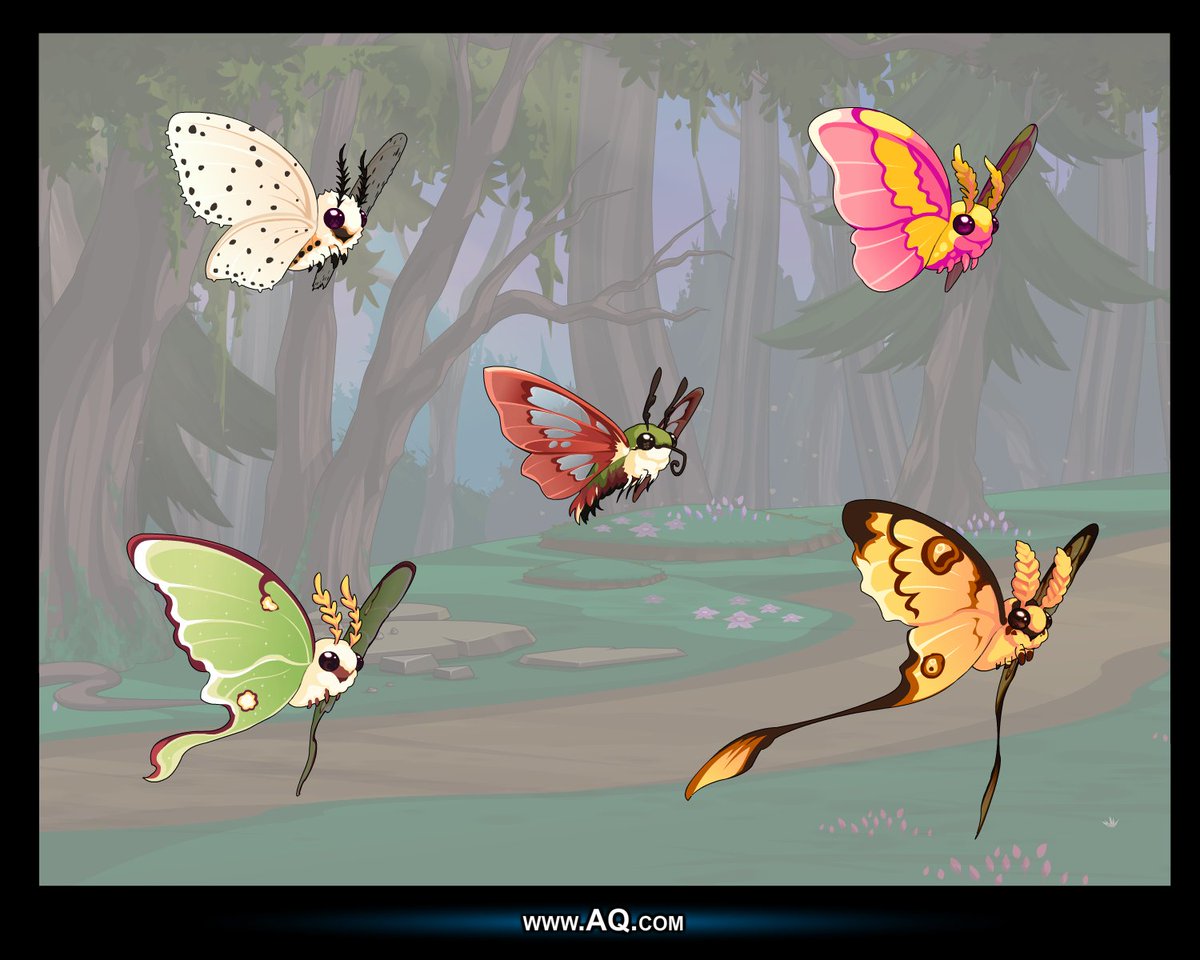 【 Let's celebrate the National Moth week with some new companions! 】

Coming soon to AQ.com