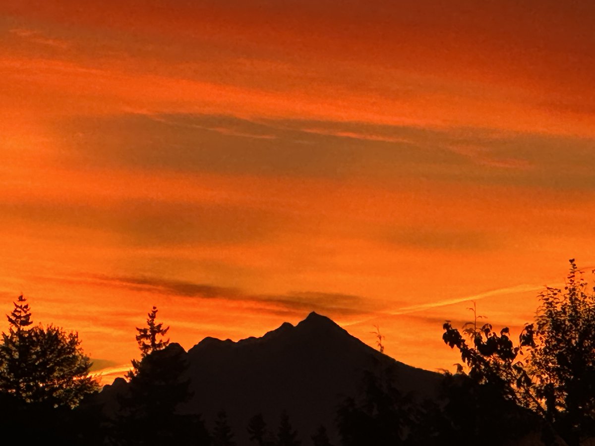 GeorgeAdon96301's tweet photo. I wish you a memorable evening .
Also, enjoy a wonderful morning
Happy new week, too.
https://t.co/FAu4dyTC2S
Email: GA@ats-business.com
#Gratitude #newweekblessing #Connection #OilandGas #books https://t.co/bjt0NXTGnh