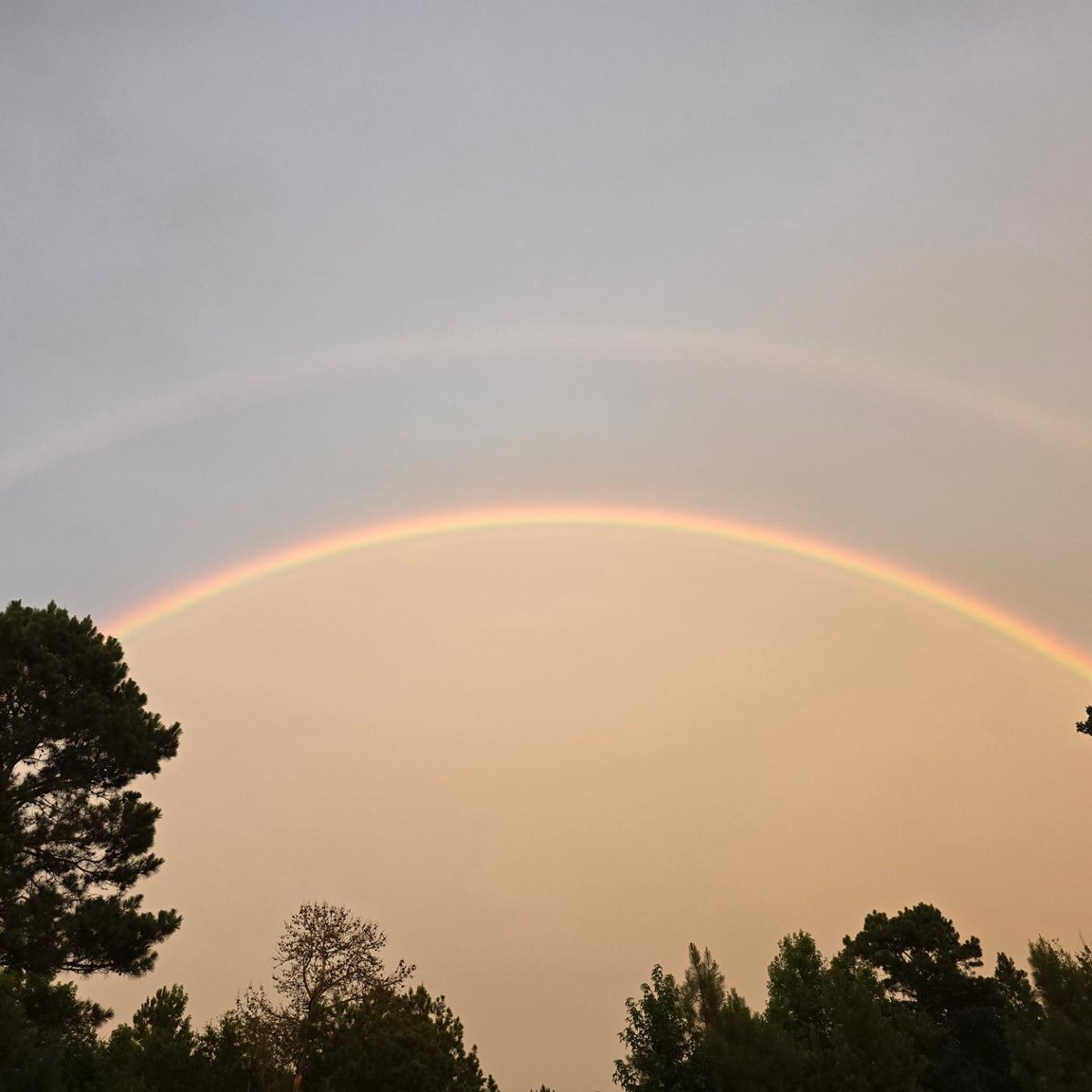 OtterGreer's tweet photo. Pretty SW AR sky courtesy of Beryl #arwx #swark #lafayette https://t.co/Vk7pg9skP5