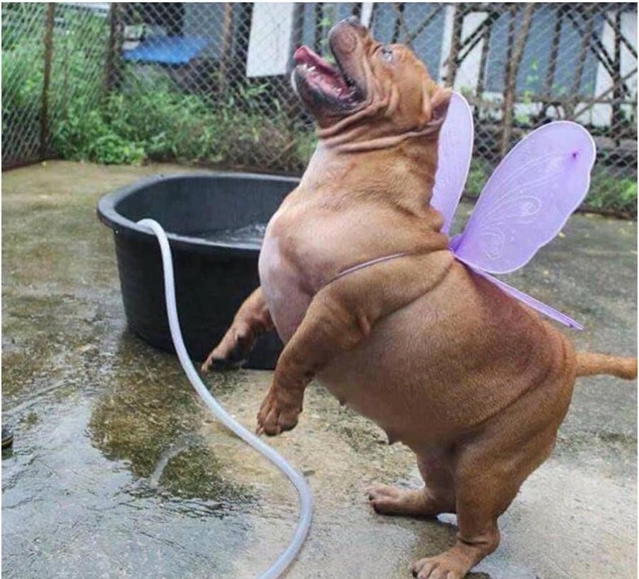 Agatha Chocolats tweet media