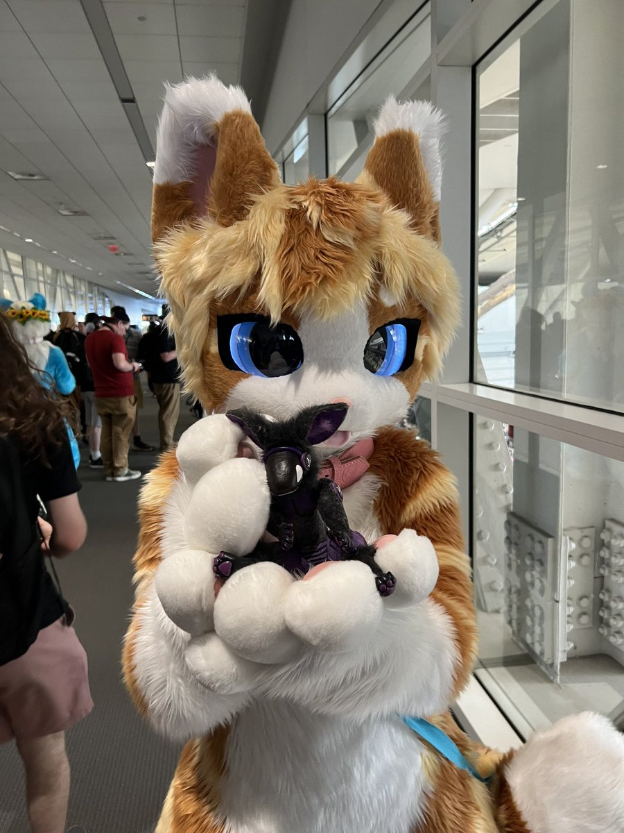 demicore tweet media