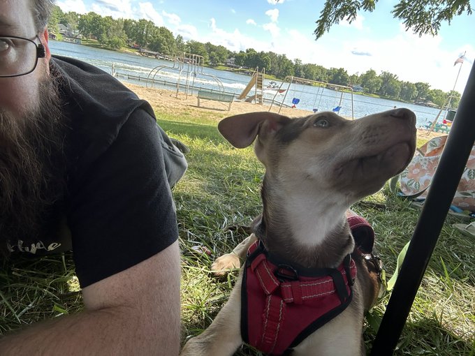 Kaiser &amp; i went on a little lake vacation this weekend https://t.co/z8t0MSqotQ<a href="/tag/streaming"class="tags"><span>#streaming</span></a><a href="/tag/twitch"class="tags"><span>#twitch</span></a><a href="/tag/bioshock"class="tags"><span>#bioshock</span></a><a href="/tag/littlesisters"class="tags"><span>#littlesisters</span></a><a href="/tag/ttv"class="tags"><span>#ttv</span></a>