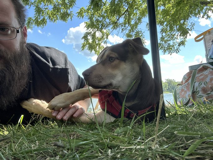Kaiser &amp; i went on a little lake vacation this weekend https://t.co/z8t0MSqotQ<a href="/tag/streaming"class="tags"><span>#streaming</span></a><a href="/tag/twitch"class="tags"><span>#twitch</span></a><a href="/tag/bioshock"class="tags"><span>#bioshock</span></a><a href="/tag/littlesisters"class="tags"><span>#littlesisters</span></a><a href="/tag/ttv"class="tags"><span>#ttv</span></a>