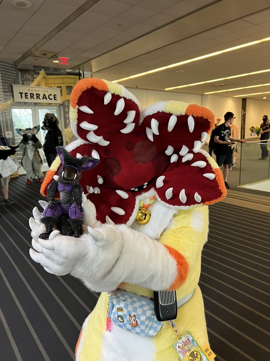 demicore tweet media