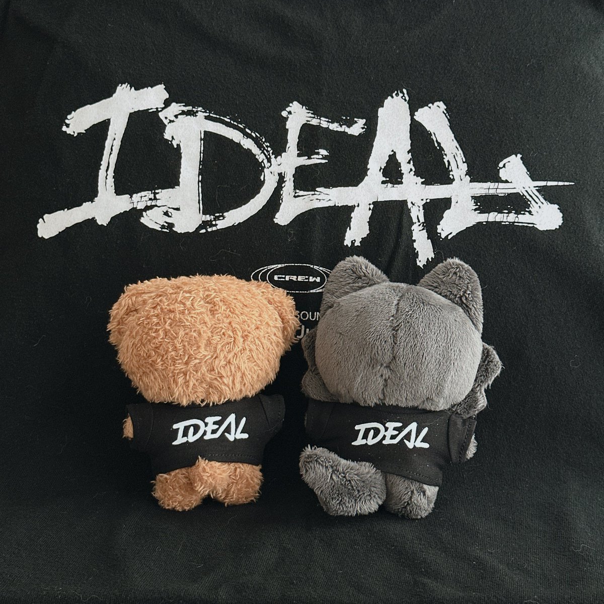 대구리들도 한 컷😋