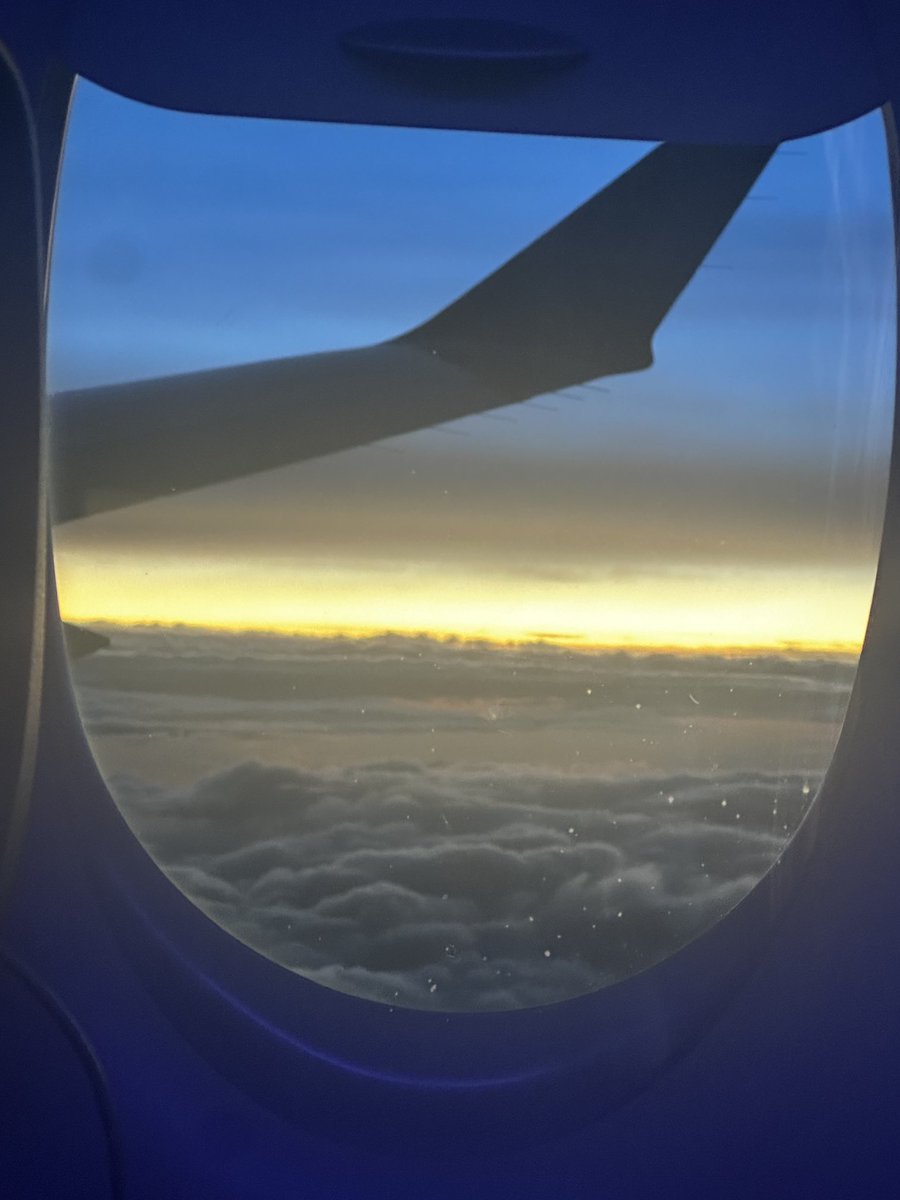 Rachel Guidry tweet media