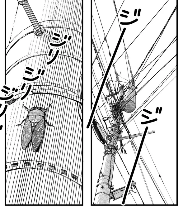 そろそろ出番ですか?