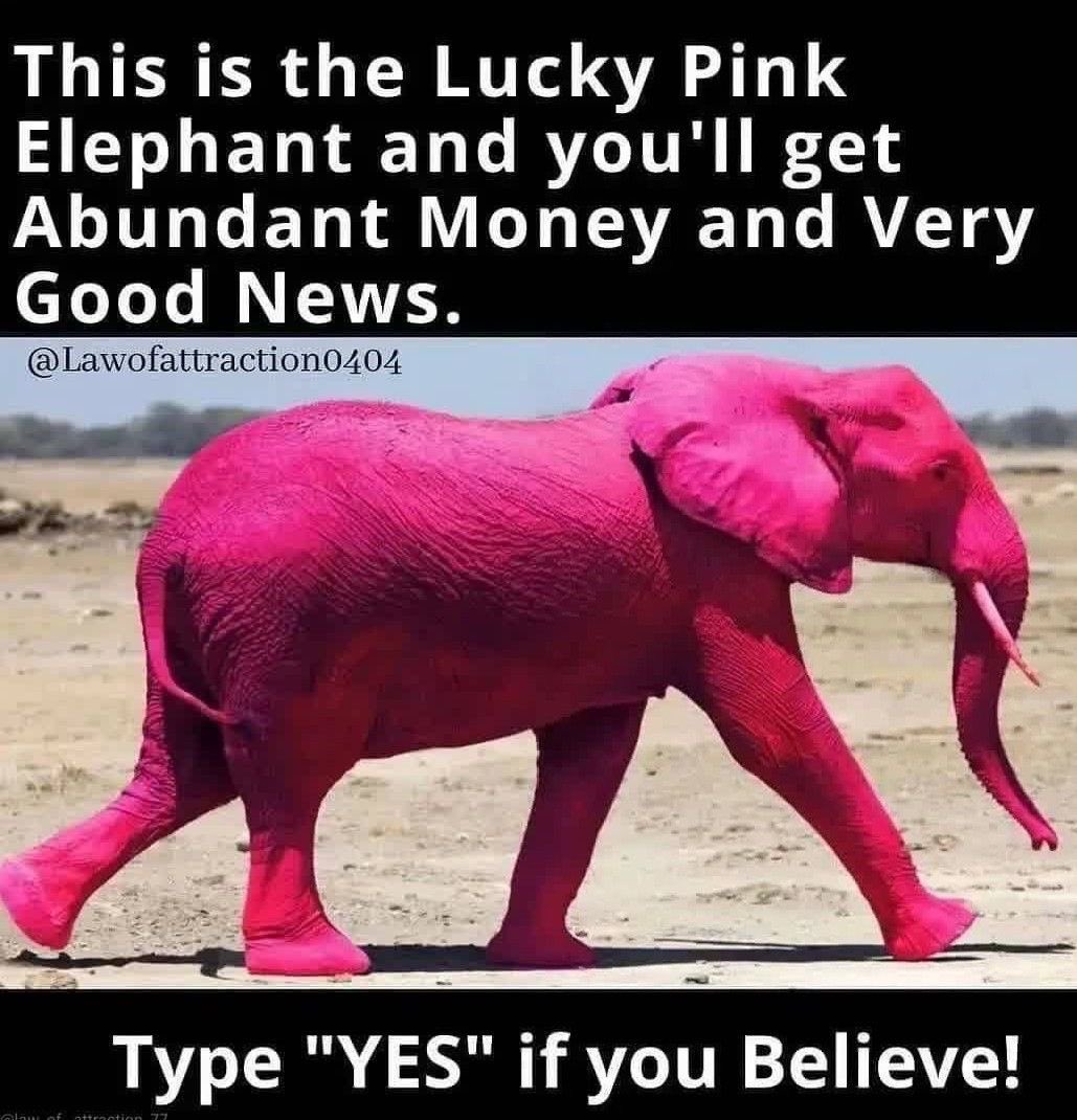 Law Of Attraction Coach tweet media