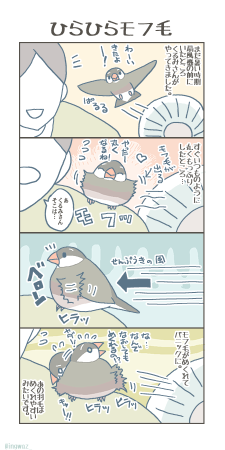 夏になるといつも思い出す扇風機の思い出。  #Buncho #文鳥 #漫画が読めるハッシュタグ