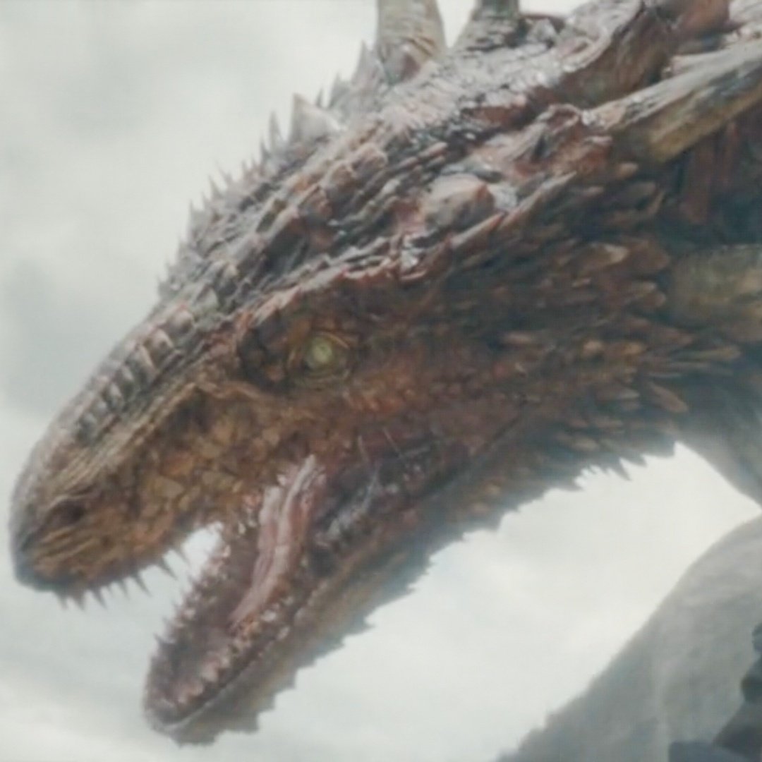Mayham_H's tweet photo. RHAENYS AND MELEYS SHARED ONE LAST LOOK BEFORE THEY ACCEPTED DEATH. I'M IN PAIN!!! #HouseOfTheDragon https://t.co/fD2i4BPAaG