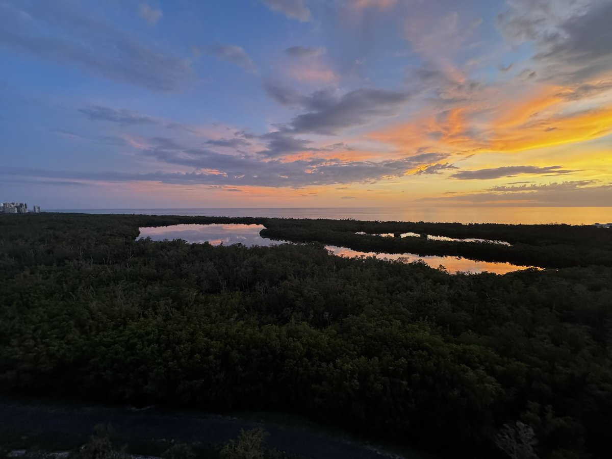 Sunset - Naples FL