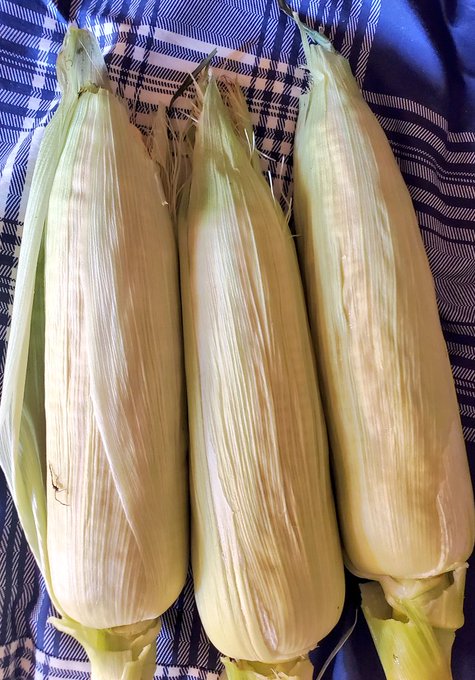 コーンが…こーんなにwwwwwwwwwwwwwwwwwwwwwwwwwwwwwwwwwwwwwwwwwwwwwwwwwwwwwwwwwwwwwww 