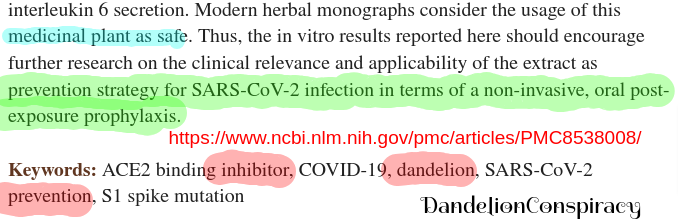 "...inhibitor, Covid19, dandelion, SARSCOV2 prevention, SI Spike mutation ..." #DandelionConspiracy #Dandelion beats SARS-Covid https://ncbi.nlm.nih.gov/pmc/articles/PMC8538008/Tran "...inhibitor, Covid19, dandelion, SARSCOV2 prevention, SI Spike mutation ..." #DandelionConspiracy #Dandelion beats SARS-Covid https://ncbi.nlm.nih.gov/pmc/articles/PMC8538008/Tran
