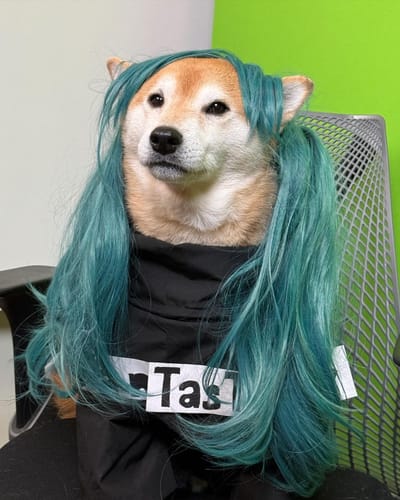 HourShiba's tweet photo. https://t.co/U6VObfSOJq