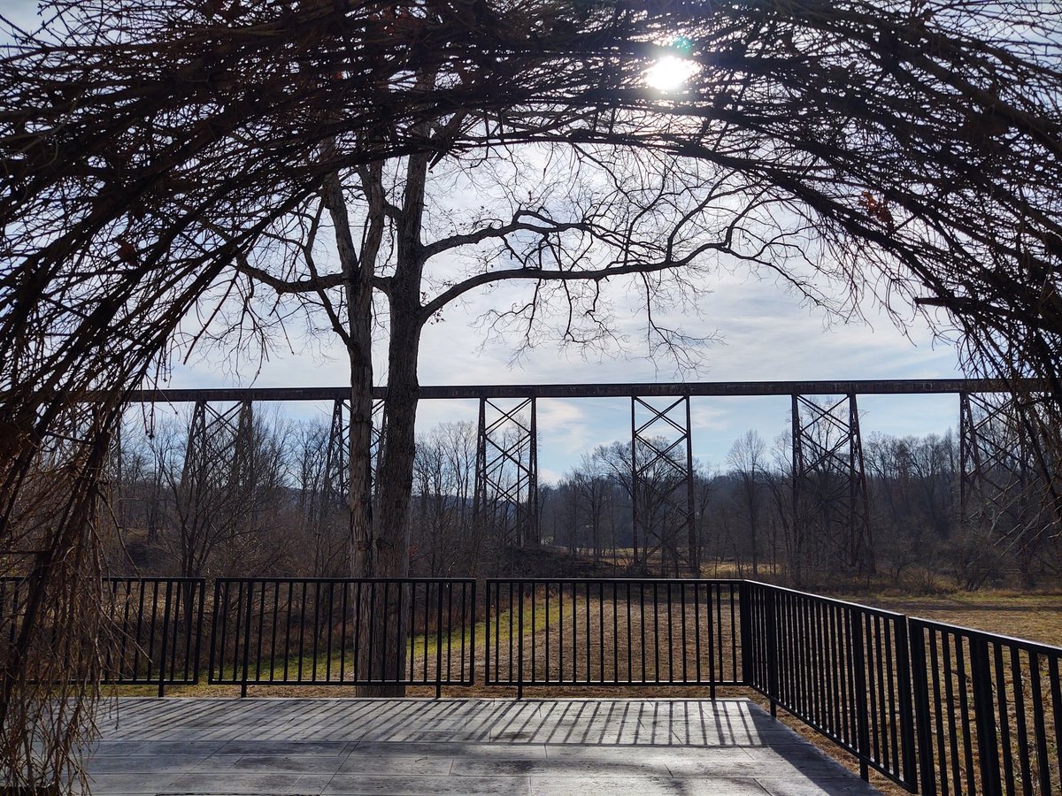 Diane Anderson (@dbooklover) on Twitter photo 