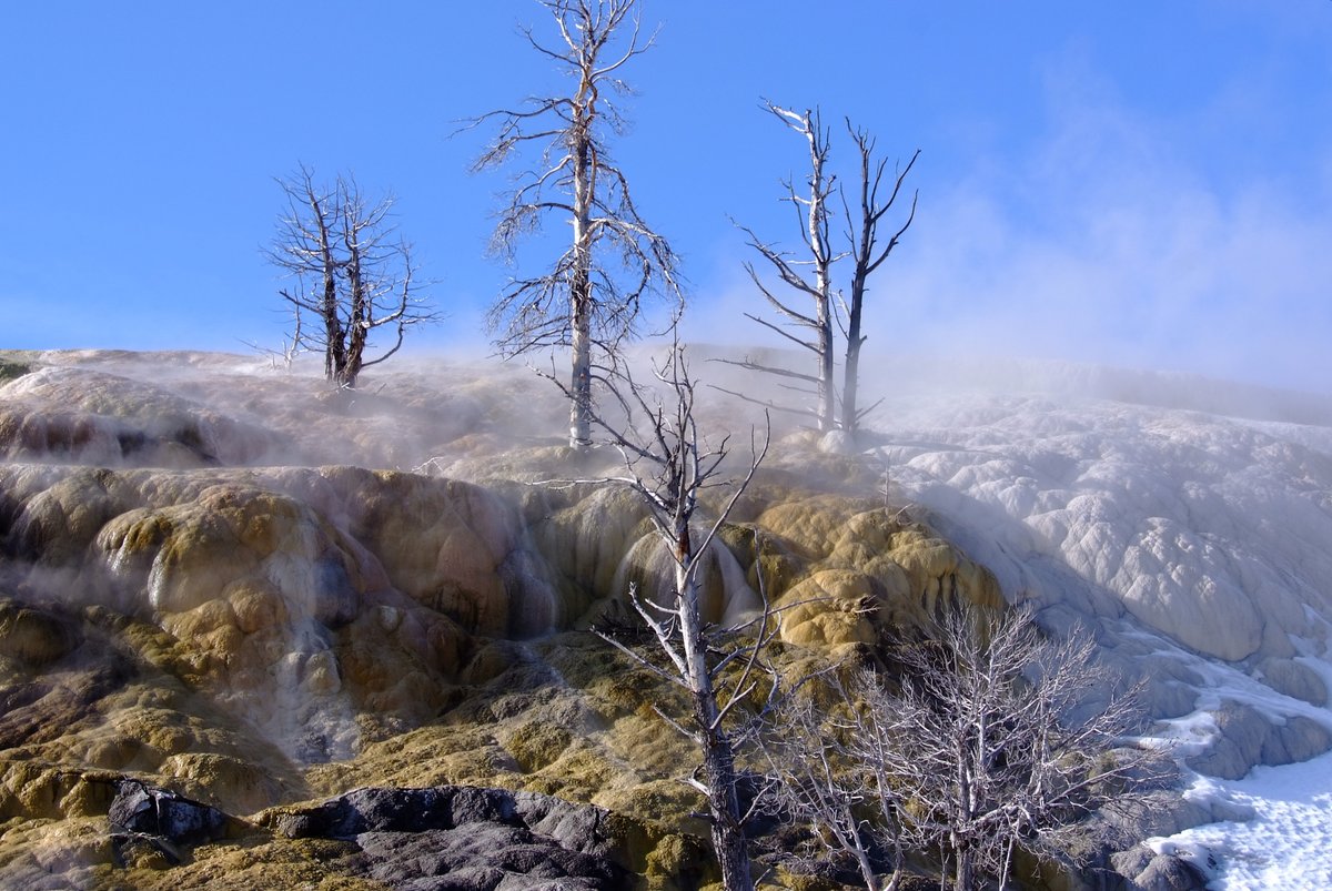 GreyHairStorage's tweet photo. From #yellowstone earlier this year. Comments welcomed. https://t.co/hIPhYZShJS