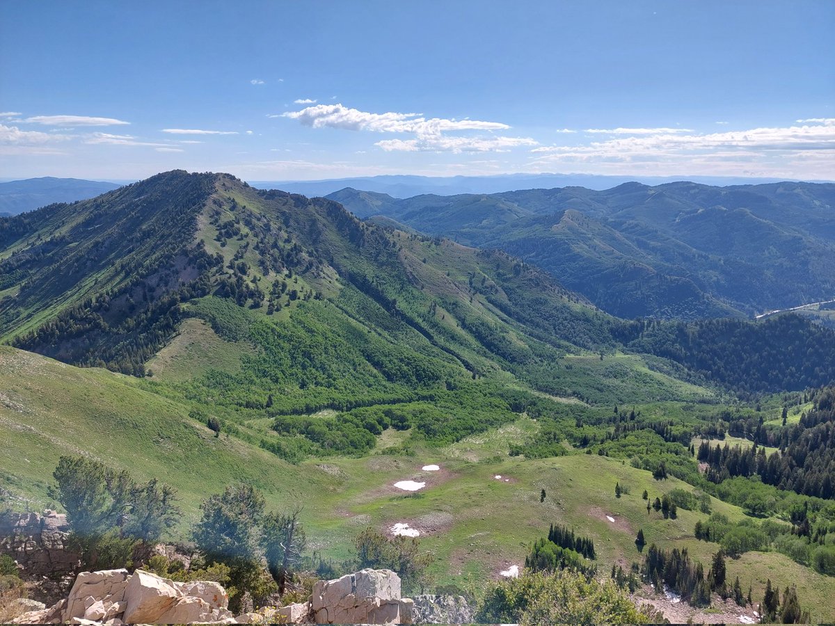 Alvaro Robledano tweet media