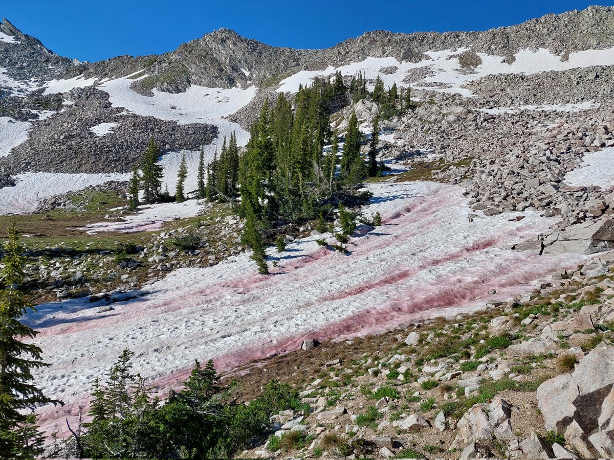 Alvaro Robledano tweet media