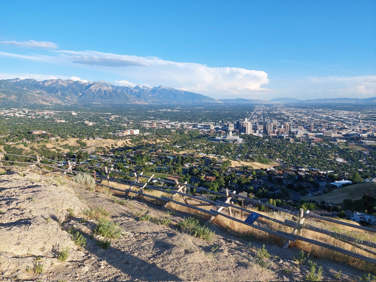 Alvaro Robledano tweet media