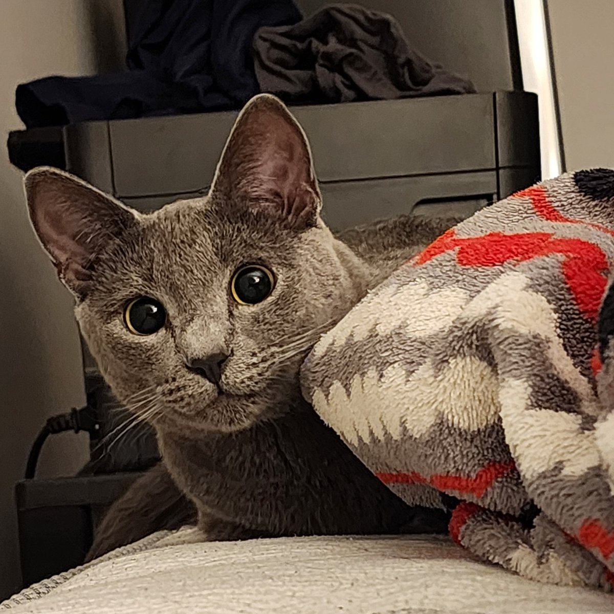 I've got no clue what she's watching but whatever it is. She is locked the fuck in.