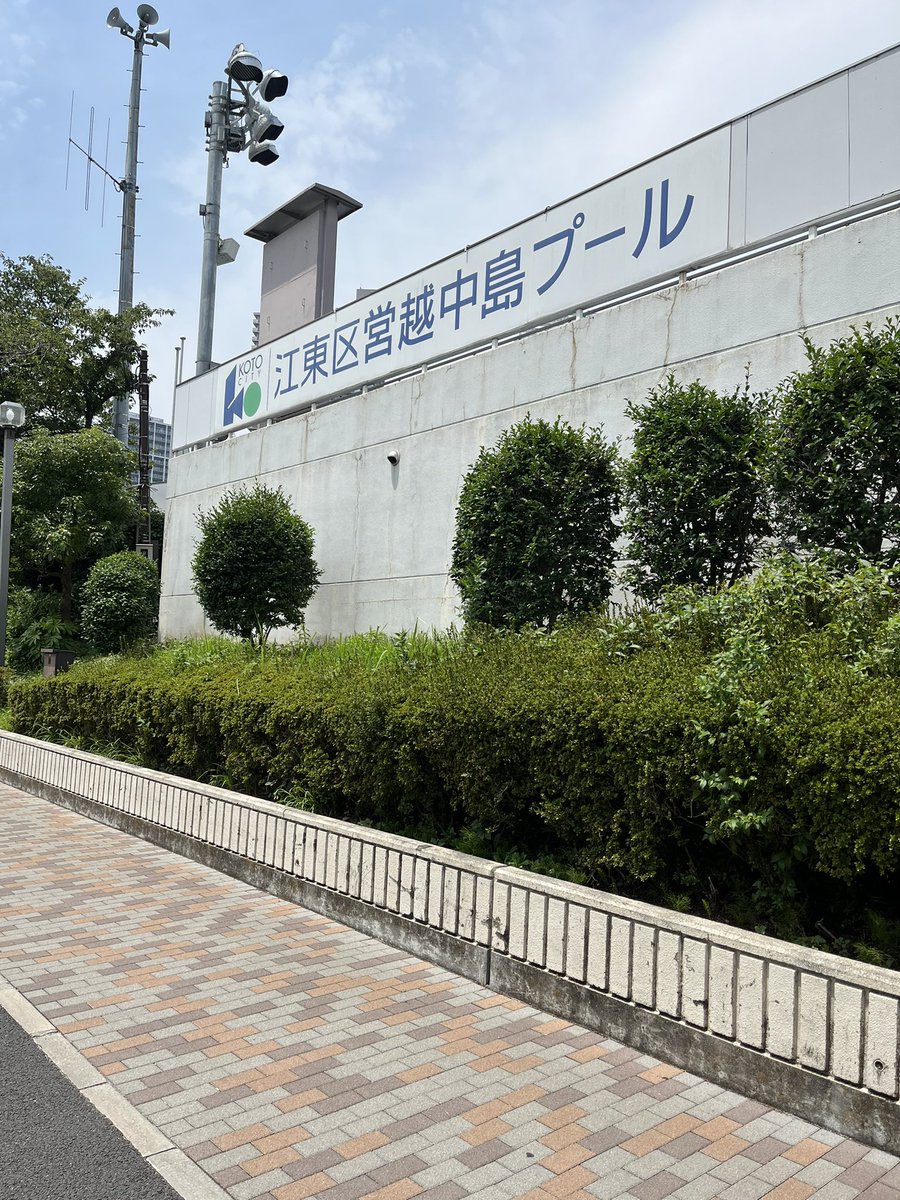 rorekabao's tweet photo. 皆さまお仕事ご苦労さまです🙇
自由人なんでプールにきちゃいました🏊🏽‍♂️ https://t.co/83xSH1Itqe
