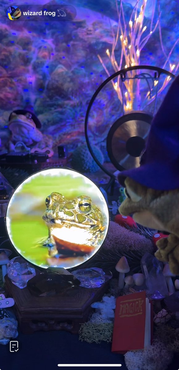 pember_emily's tweet image. #wizardfrog is live! Come hang!: tiktok.com/t/ZPREgAVmg/