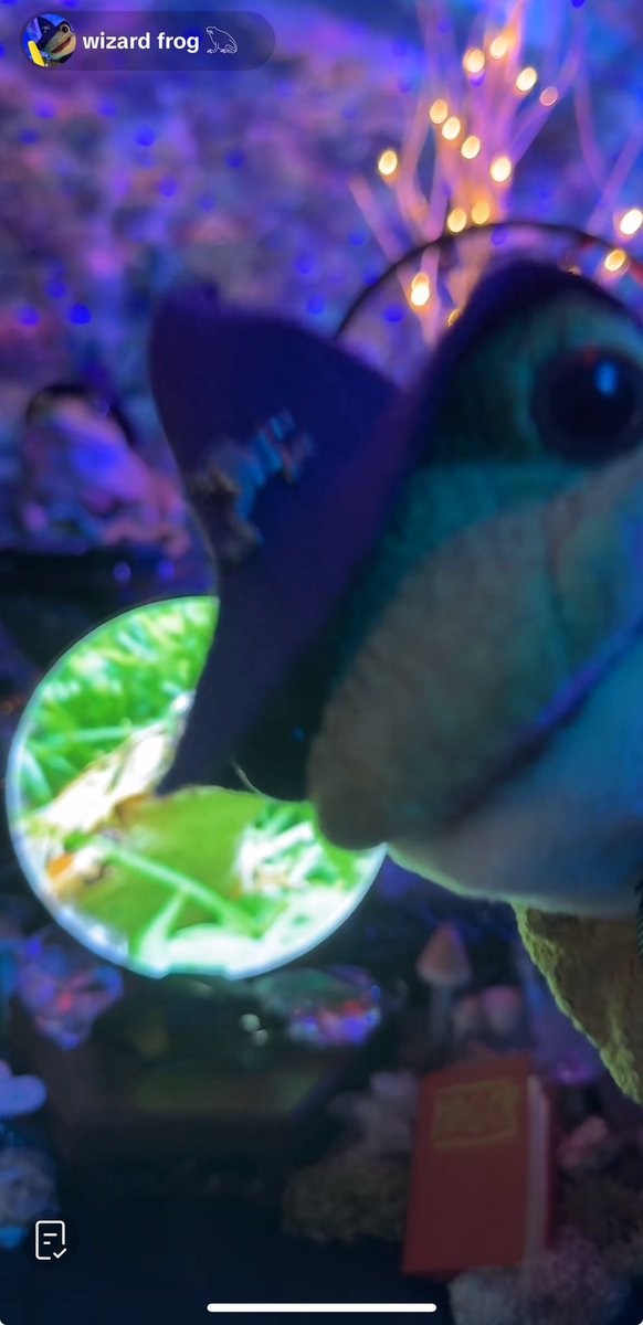 pember_emily's tweet image. #wizardfrog is live! Come hang!: tiktok.com/t/ZPREgAVmg/