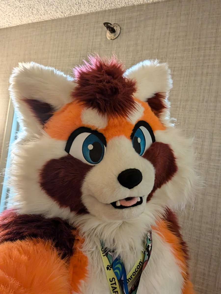 Come say hi and give apples.
