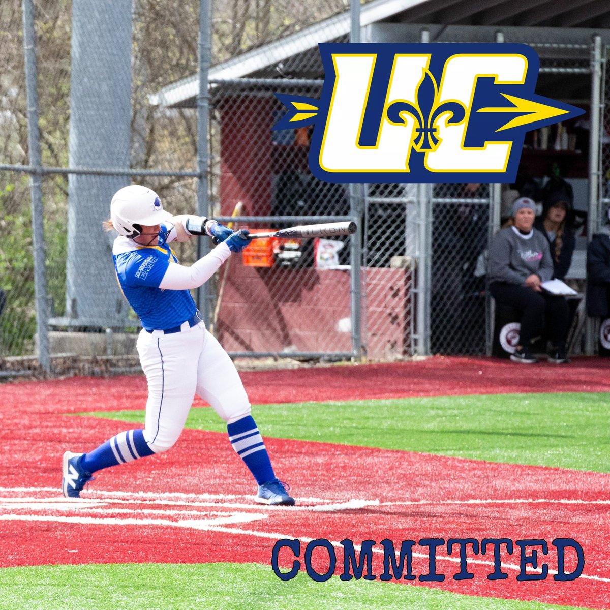 DIISoftball's tweet photo. Four Notre Dame College Transfers Have Now Found New Homes
@DanielleFick2 - @WayneStateSB 
@gracefisher133 - @WayneStateSB 
@KaitlynMazzocc - @UCArrows 
@destany_blake - @Barton_Softball https://t.co/OBtr12zoER