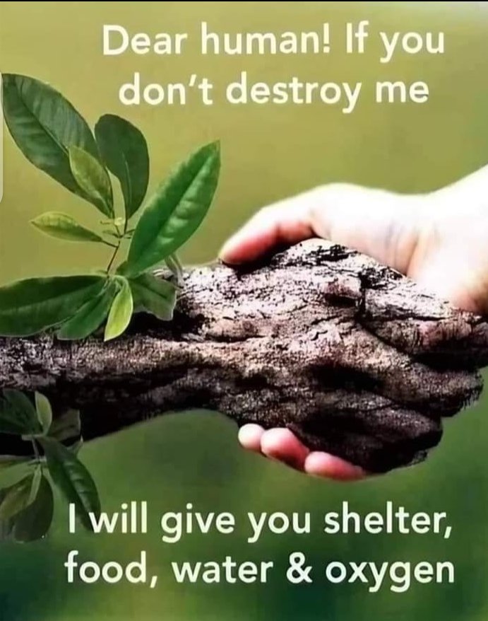 Talibenv's tweet image. ہم سب کو ضروری ہے ک اس پوسٹ کو سمجھیں ورنہ بہت سارے مسائل کا سامنا کرنا ہوگا