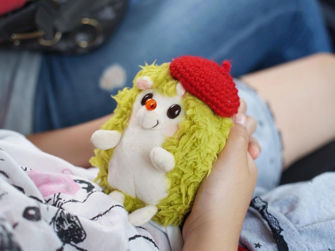 RainbowPockets's tweet photo. どこつれてってくれるの?🦔
#ぬい撮り
#ハリネズミぬいぐるみ
#rockandpaper https://t.co/y4WWOAbIXW