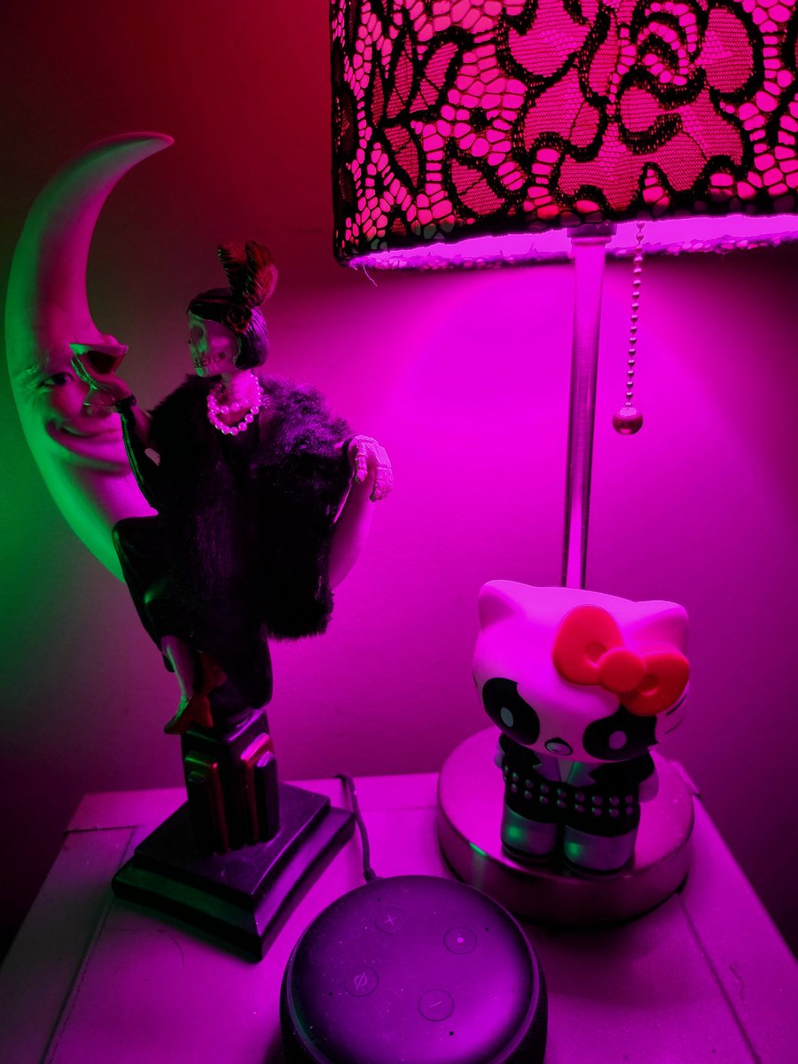 Knittin' Kitten tweet media