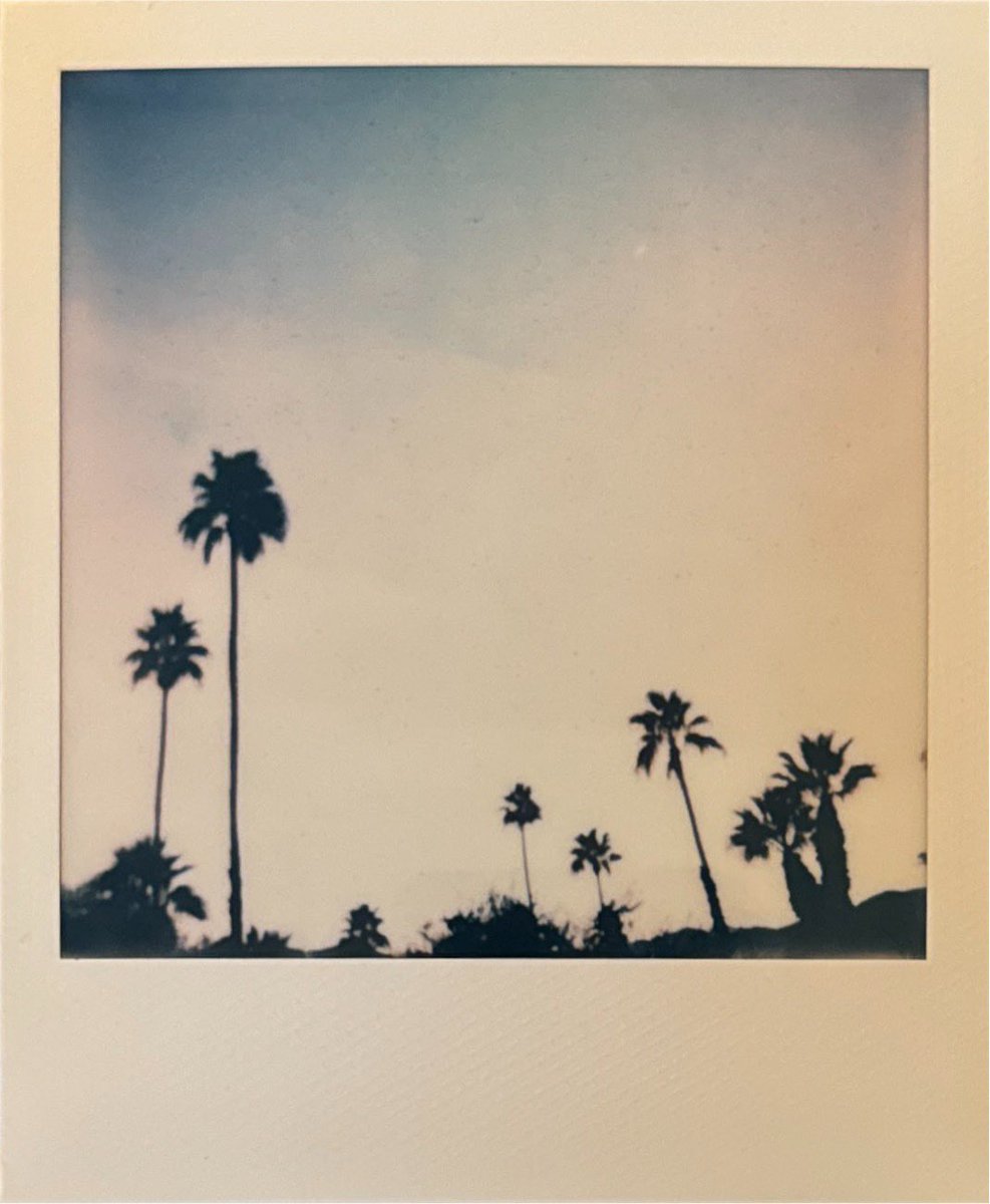 InstallationMag's tweet photo. Day 173 / 366 🌫️ I’ve been thinking a lot about the true subject of the photos that I’ve been taking this year. An idea is starting to come into focus that’s both a place and a feeling. Any guesses? 🧐#mypolaroidperspective #polaroidI2 #366project https://t.co/GDVtCMf5Z7