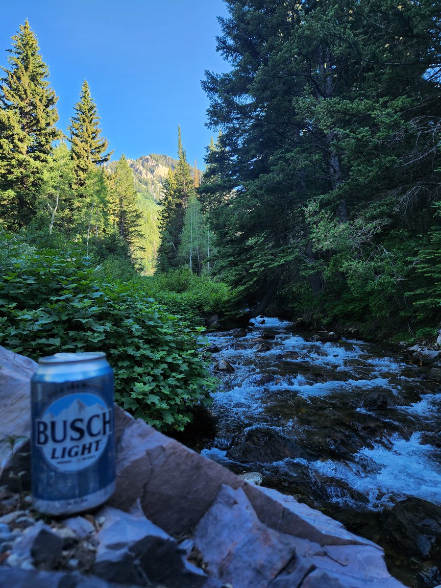 AlexSides's tweet photo. Beautiful day in Utah at Mt. Timpanogos. Cheers! @BuschBeer https://t.co/1injIUqecr