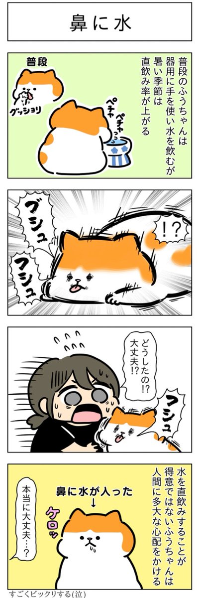 「鼻に水」(はる蔵さんの「ふうらい日和」第152回)  2本目「水飲み音」こちら⇒ 