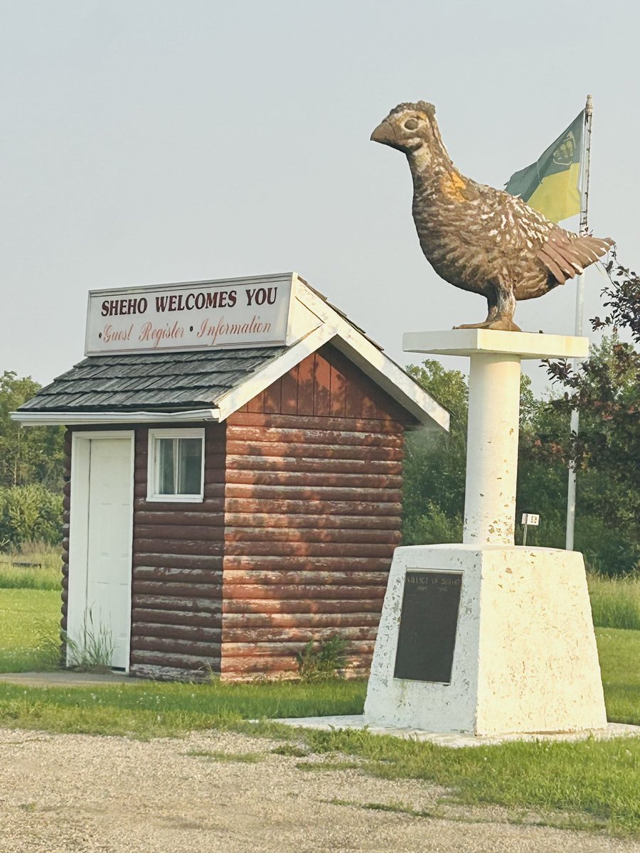 Rhein Rockets tweet media