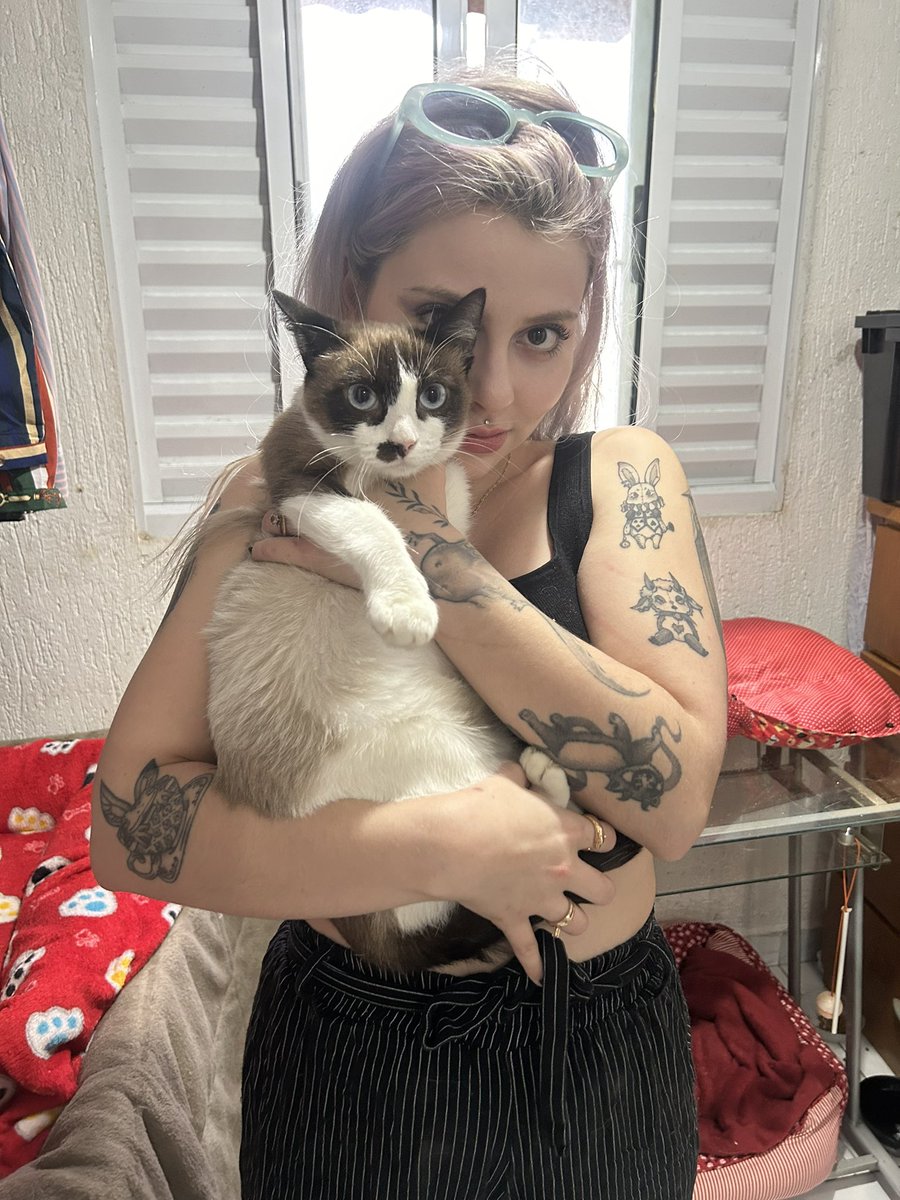 letmelivs's tweet image. Gente como que pode ninguém quis adotar essa nenê na feira 😭😭😭 Charlote tem 8 meses castrada fiv e felv negativo 😭😭😭😭 São Paulo-sp ou abc ajudem a compartilhar ela tá sozinha todo mundo foi adotado